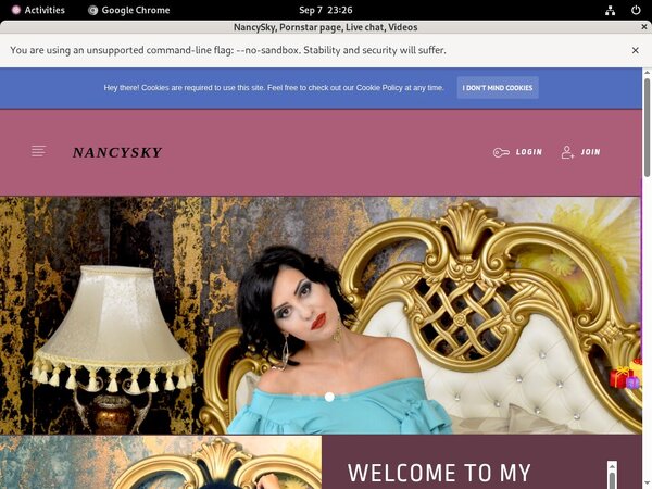Accounts Nancysky.modelcentro.com