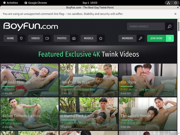 Boy Fun ???