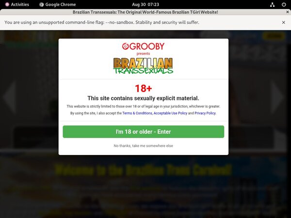 Brazilian Transsexuals Discount Logins