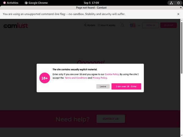 Camlust.com Password Info