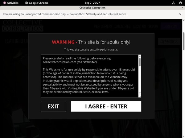 Collective Corruption With WTS (achdebit.com)