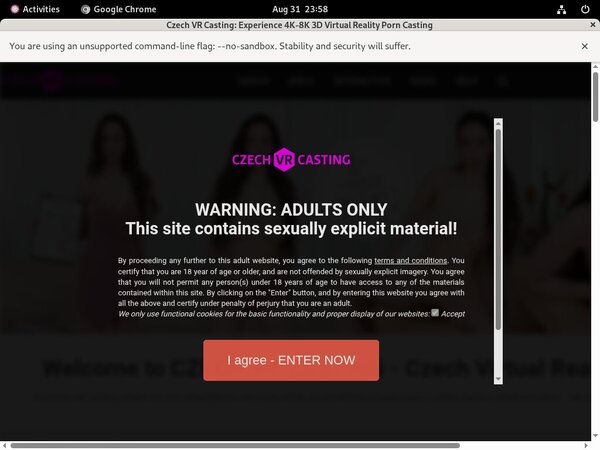 Czech VR Casting ??