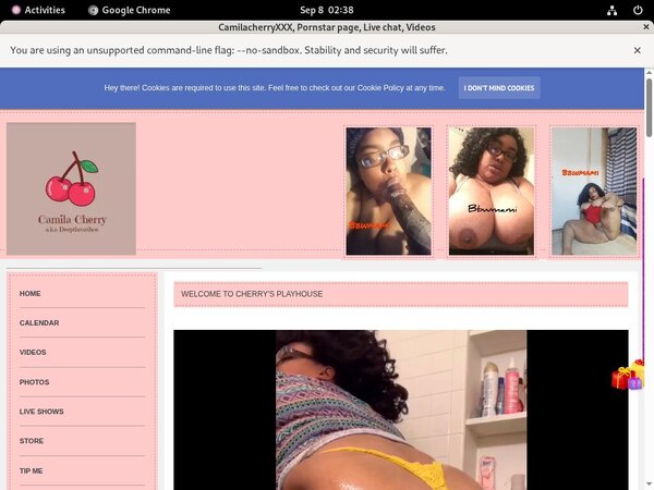 Does CamilacherryXXX Use Paypal?