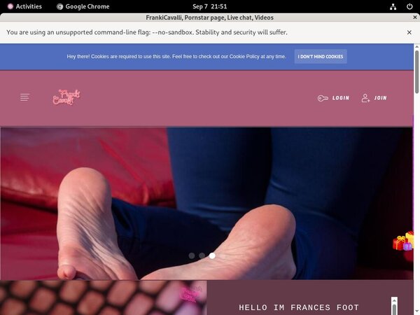 Frances.modelcentro.com Discount Accounts