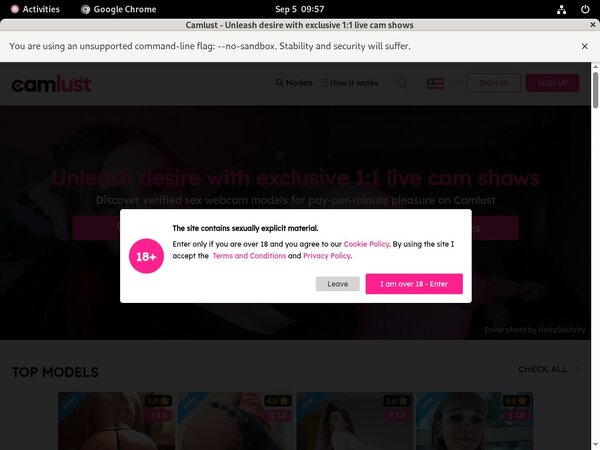 Free Pass For Cam Lust