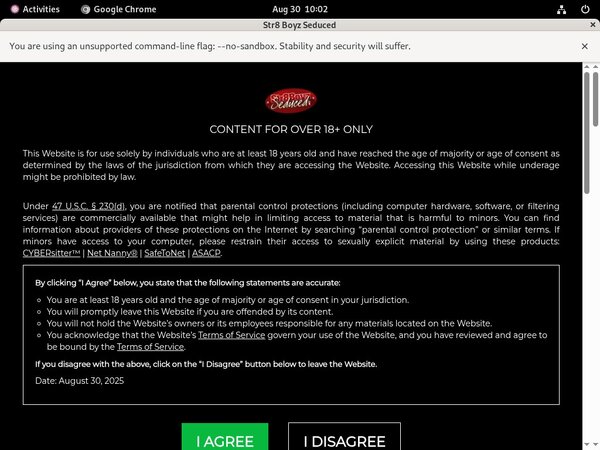 Free Str8boyzseduced.com Logins 2018