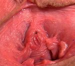 Gape My Pussy Coupon Link