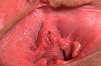 Gape My Pussy Coupon Link s0