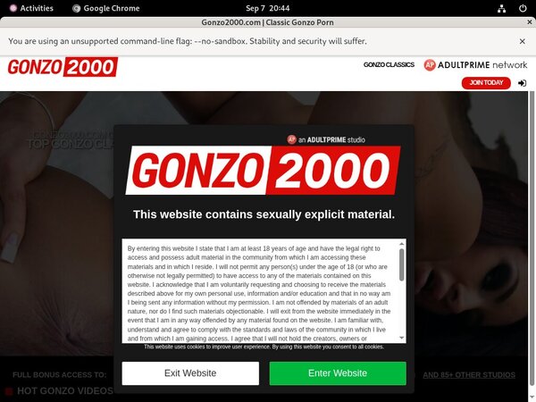 Gonzo 2000 Porn Password