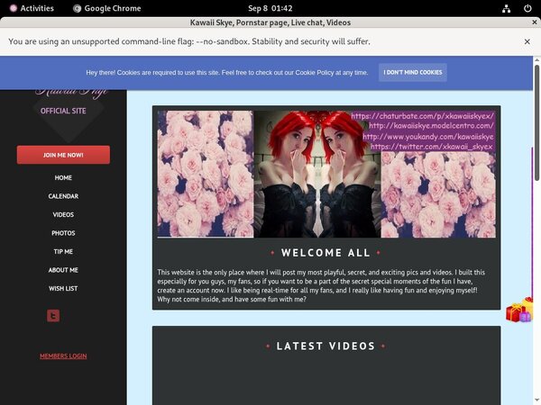Kawaiiskye.modelcentro.com Password Dump