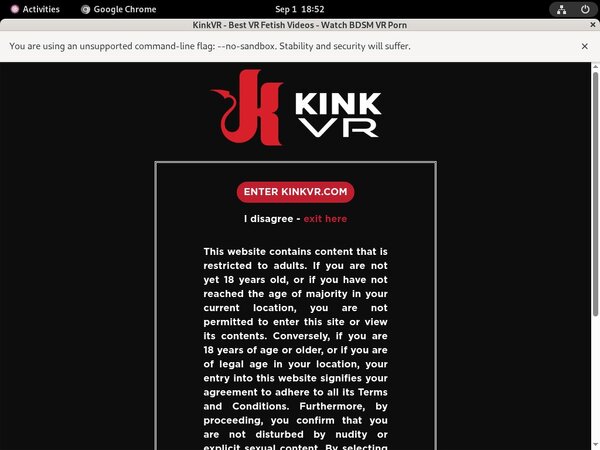 Kink VR Active Accounts