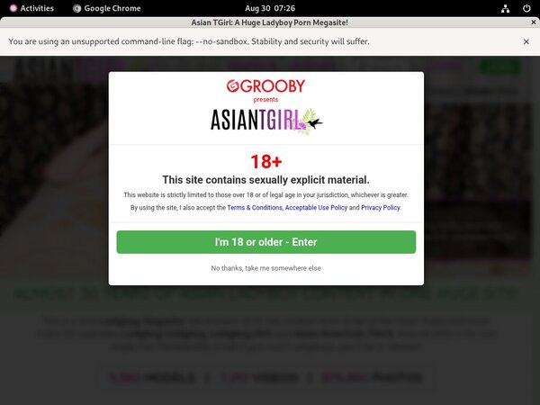 Ladyboy-ladyboy.com ???