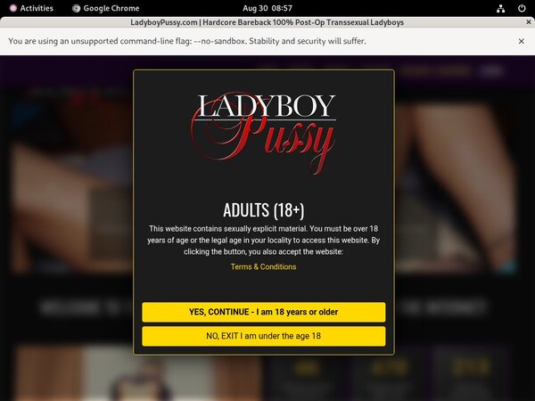 Ladyboypussy Mobile Passwords