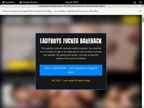 Ladyboys Fucked Bareback Scene
