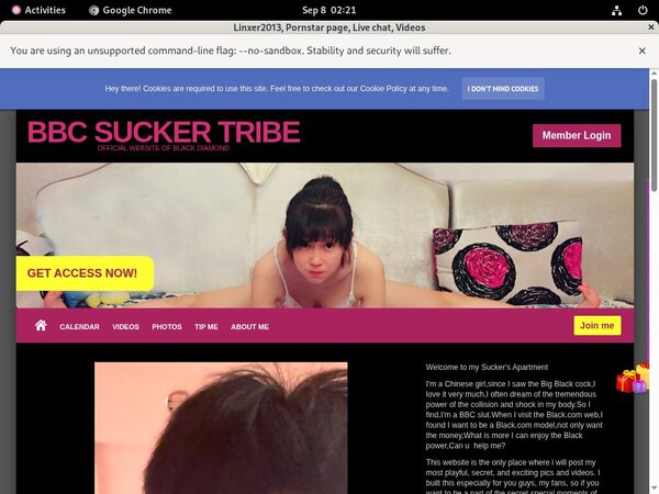 Linxer2013.modelcentro.com Accounts