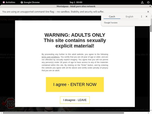 Make Mental Pass Account