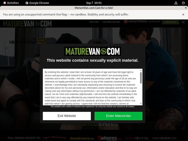 Mature Van Free Video