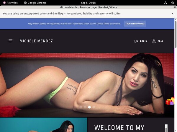 MicheleMendez Accept Pay Pal