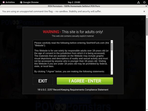 POV Pornstars Login Information