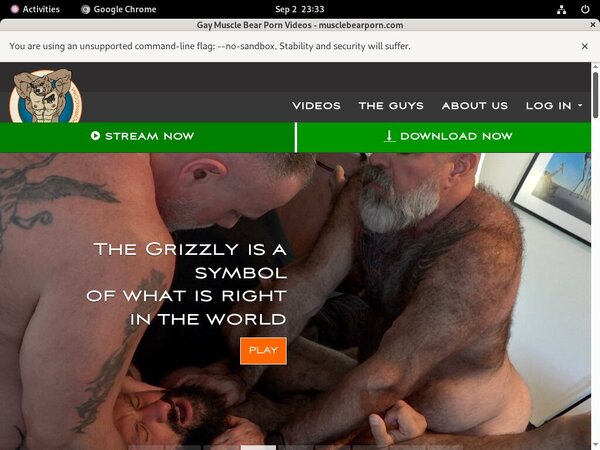 Photo Muscle Bear Porn