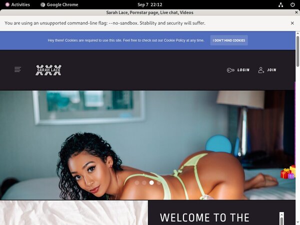 Sarah Lace Real Passwords