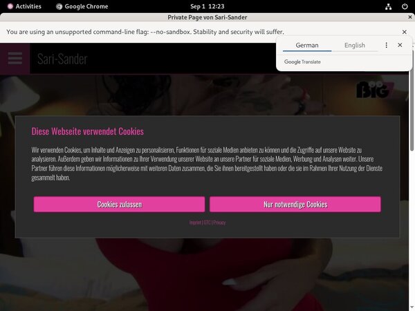 Sari Sander Free Trials