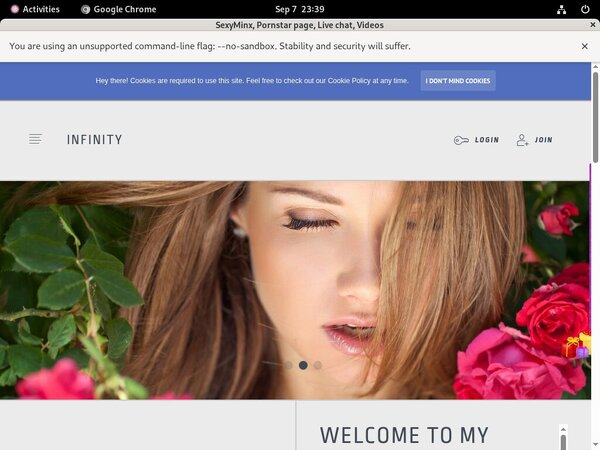 SexyMinx Full Access