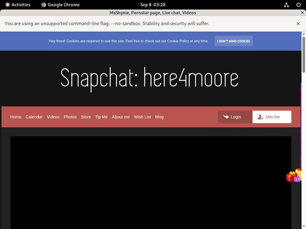 Shynie.modelcentro.com Login Passwords