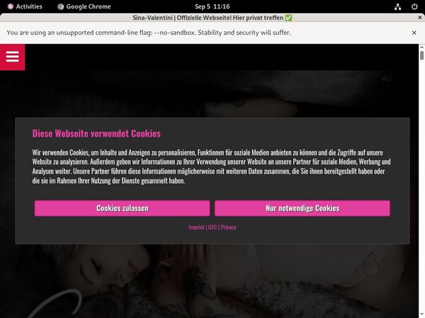 Sina Valentini Websites