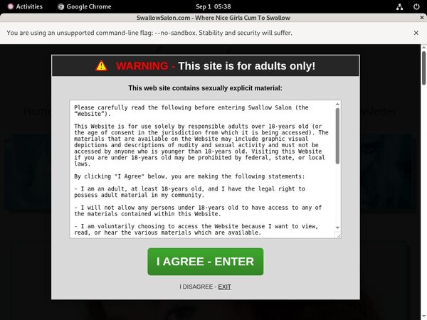 Site Rip Salon Swallow