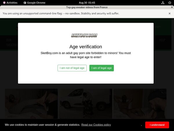 [Image: Sketboy-Porn-Password.jpg]