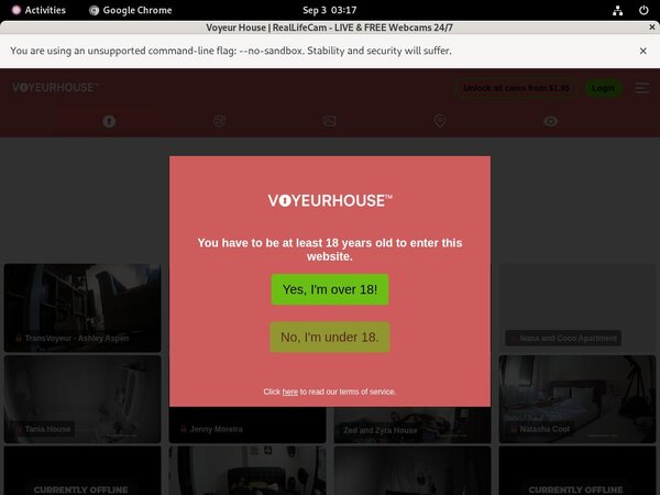 Voyeur House Password Hack