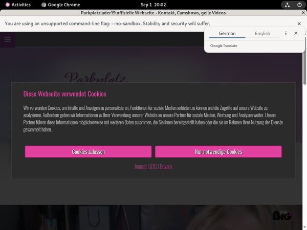 Working Parkplatzluder19.com Pass