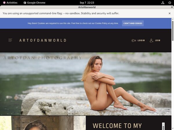 Artofdan Secure Purchase