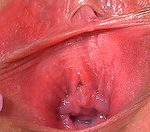Gapemypussy.com Free Login